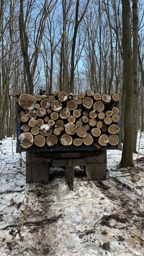 Продаю дрова твердих порід