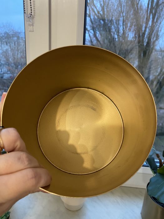 Złota dinoczka homla