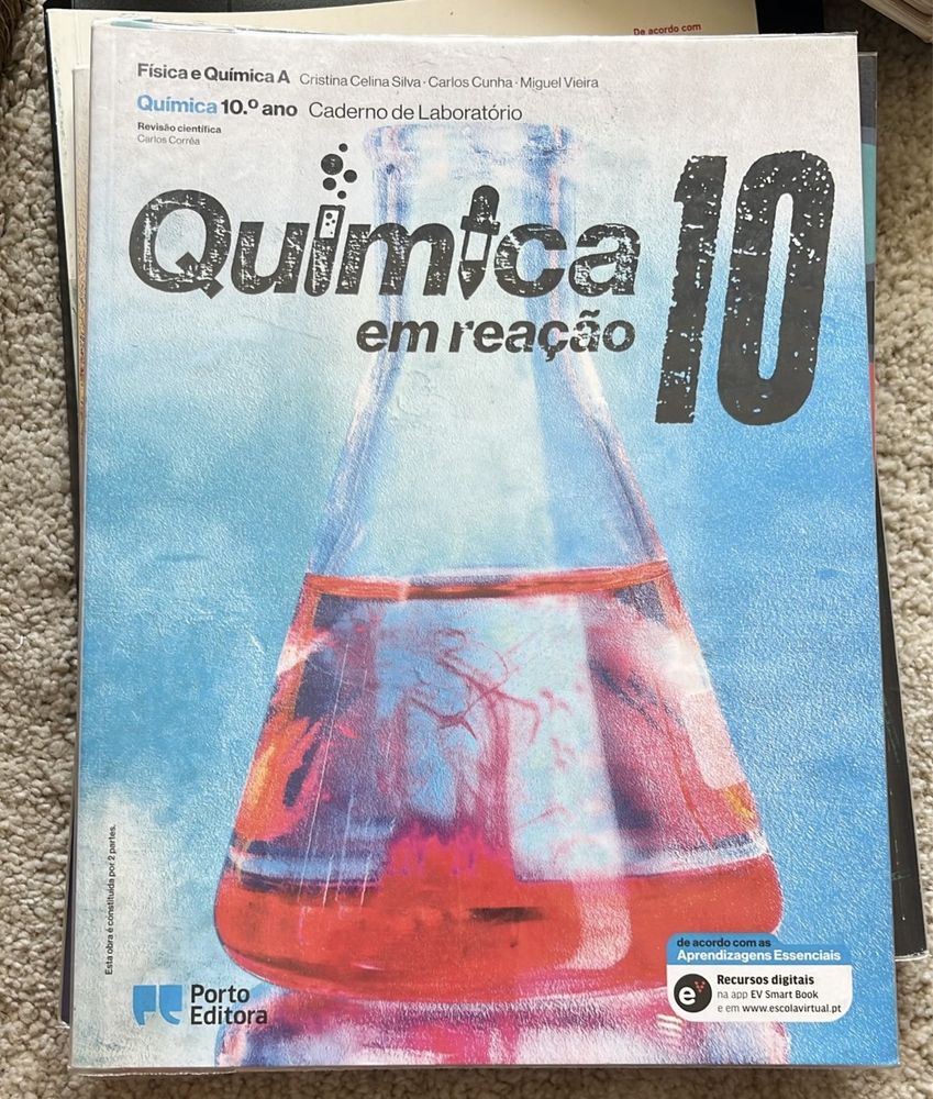 Caderno de atividades 10 ano plastificados