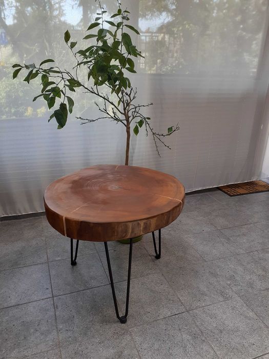 Stół kawowy okrągły plaster drewna 70x55 metalowe nogi