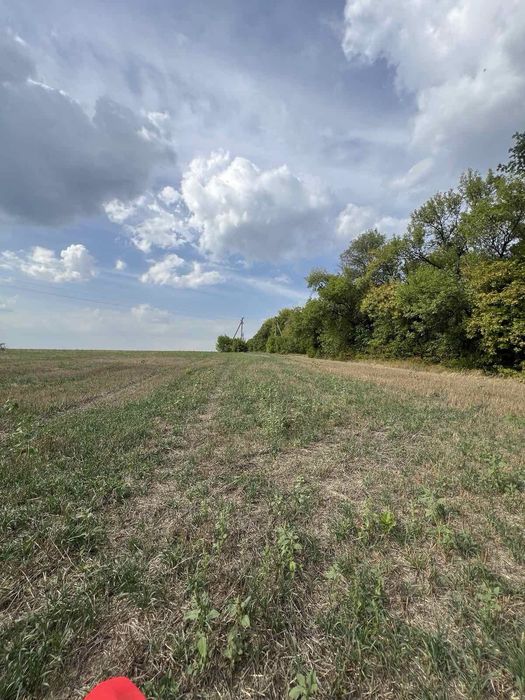 Продам пай в Харківській області Краснокутськ