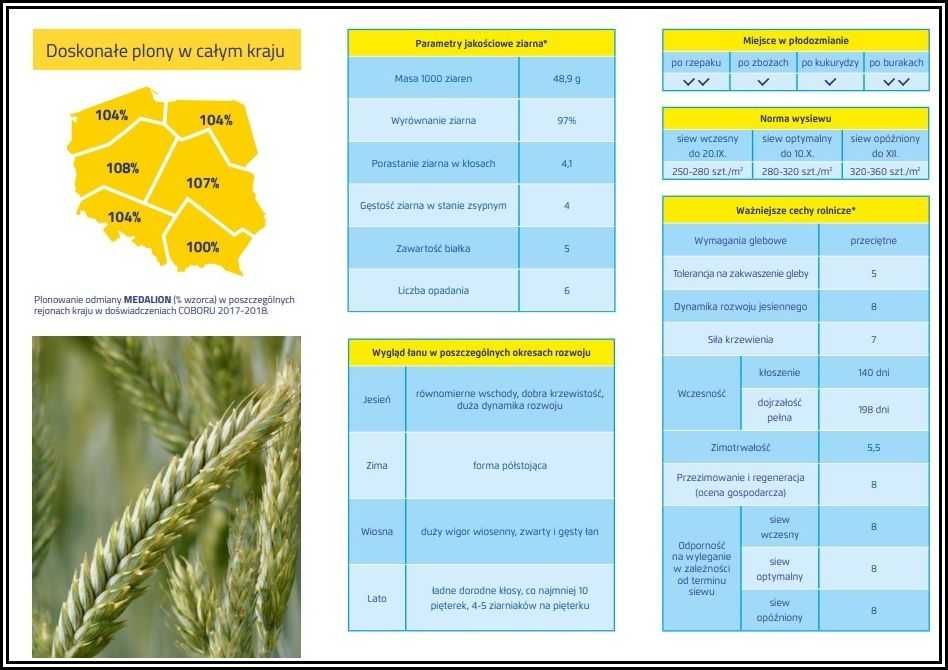 Pszenżyto Ozime MEDALION - Odmiana Bezostna Na Słabe Gleby - Nasiona