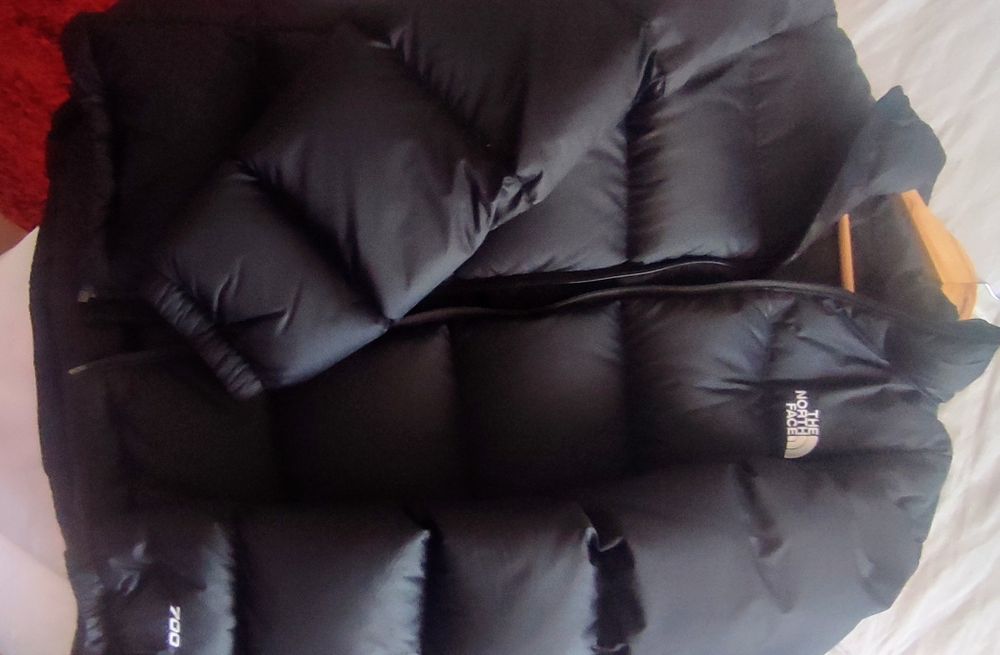 Casaco the north face