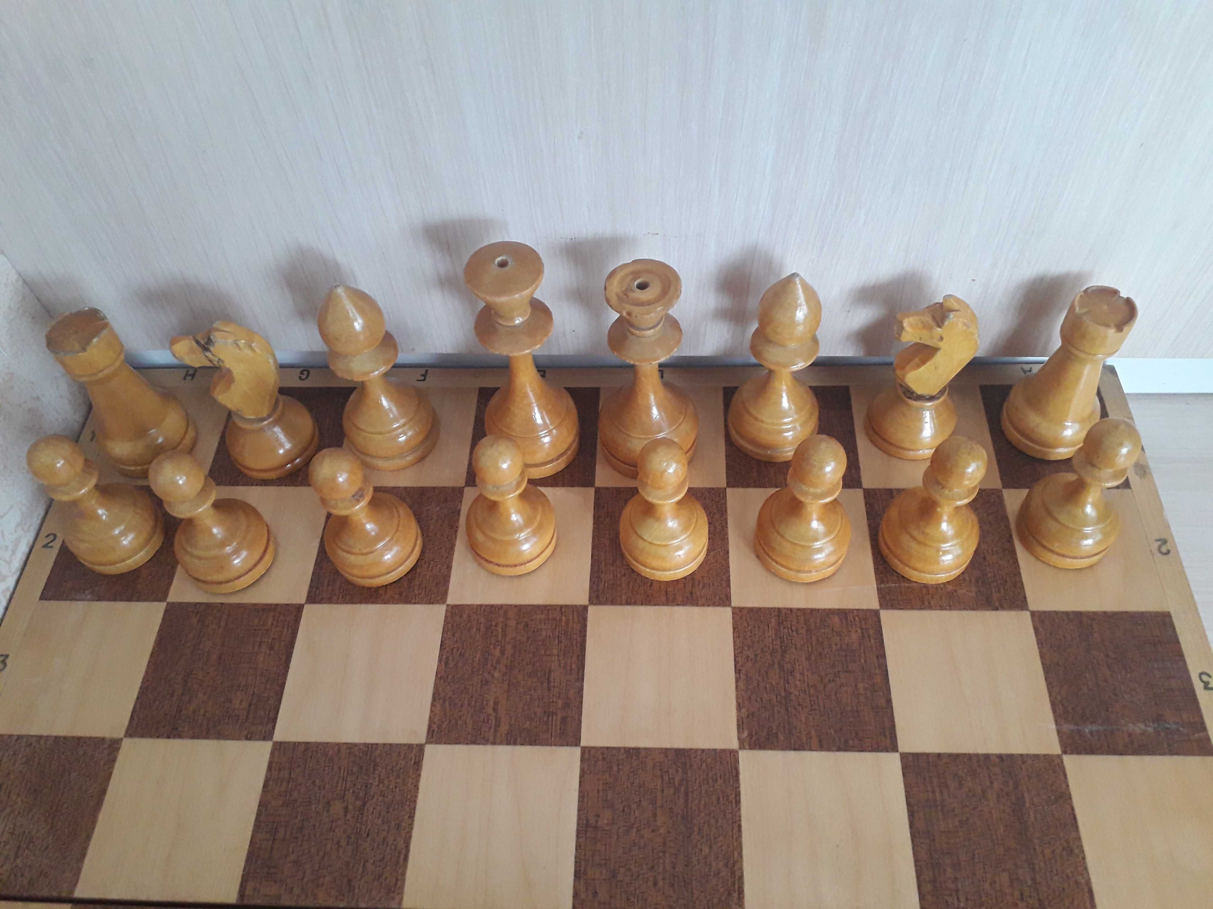 Шахматы (большие фигурфы)