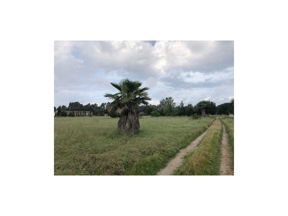 Terreno Benavente