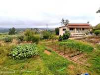 Quinta com 11460m2 em Penalva do Castelo