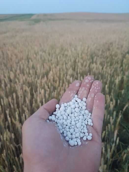 Wapno Nawozowe z magnezem Granulowane magnezowe Szybka realizacja