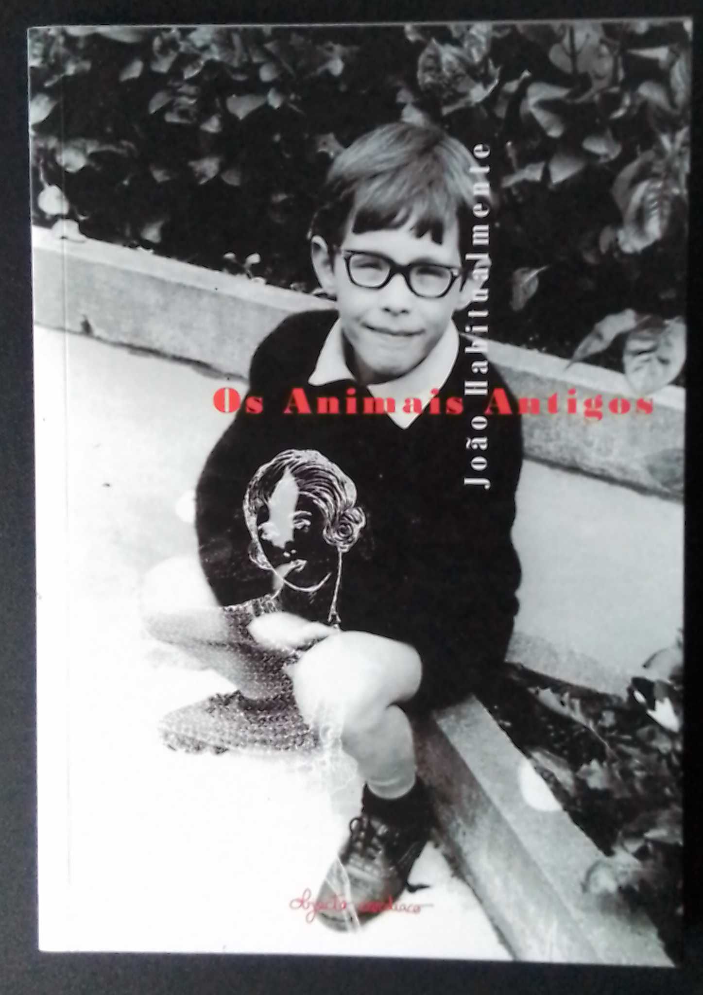Livro "Os Animais Antigos", de João Habitualmente