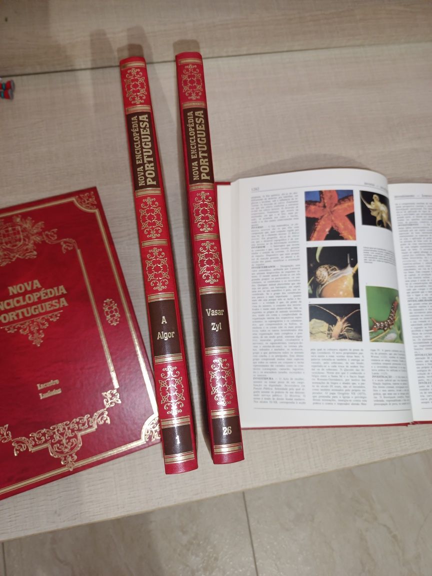 Conjunto de Coleções (54 volumes). Todos os 54 livros por 4 euros.