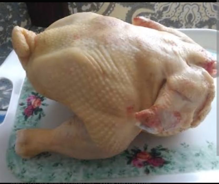 Тушки домашніх бройлерів та індиків