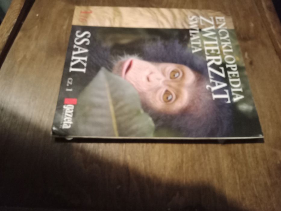 Encyklopedia zwierząt świata gazeta wyborcza