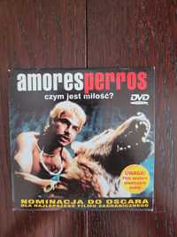 Amores Perros DVD