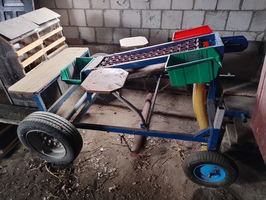 Sadzarka do czosnku i cebuli