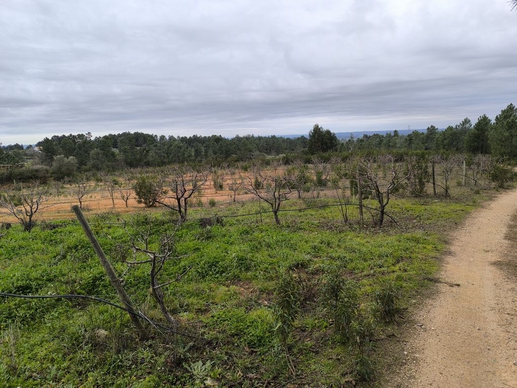 Terreno 8400m2,  com ruina granito, Catrão, Vale de Prazeres