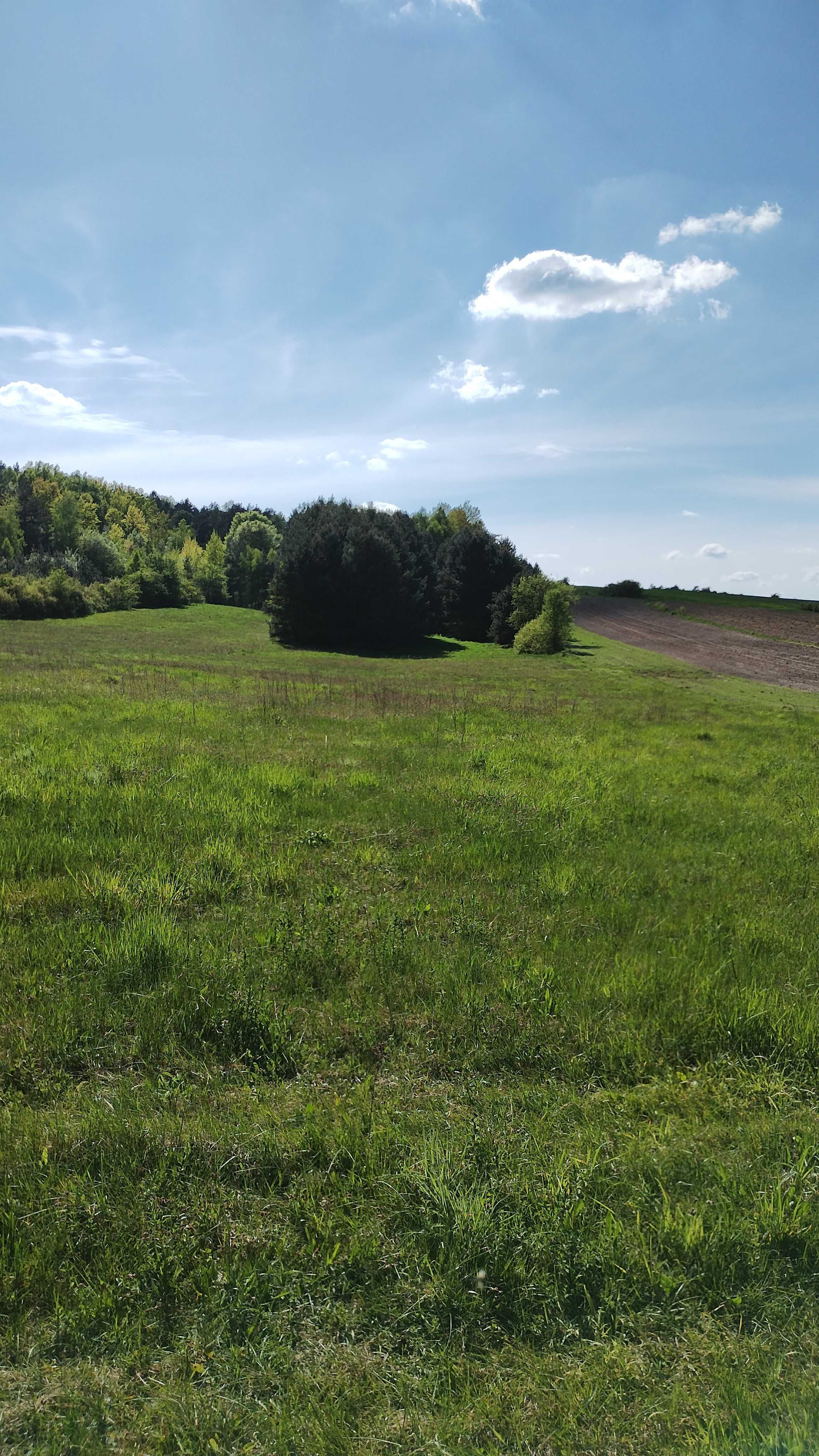 Działka Zwierzyniec - działka pod inwestycje/domki turystyczne