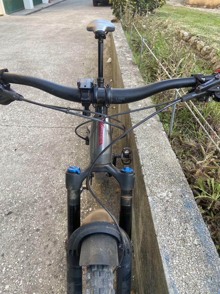 Orbea occam