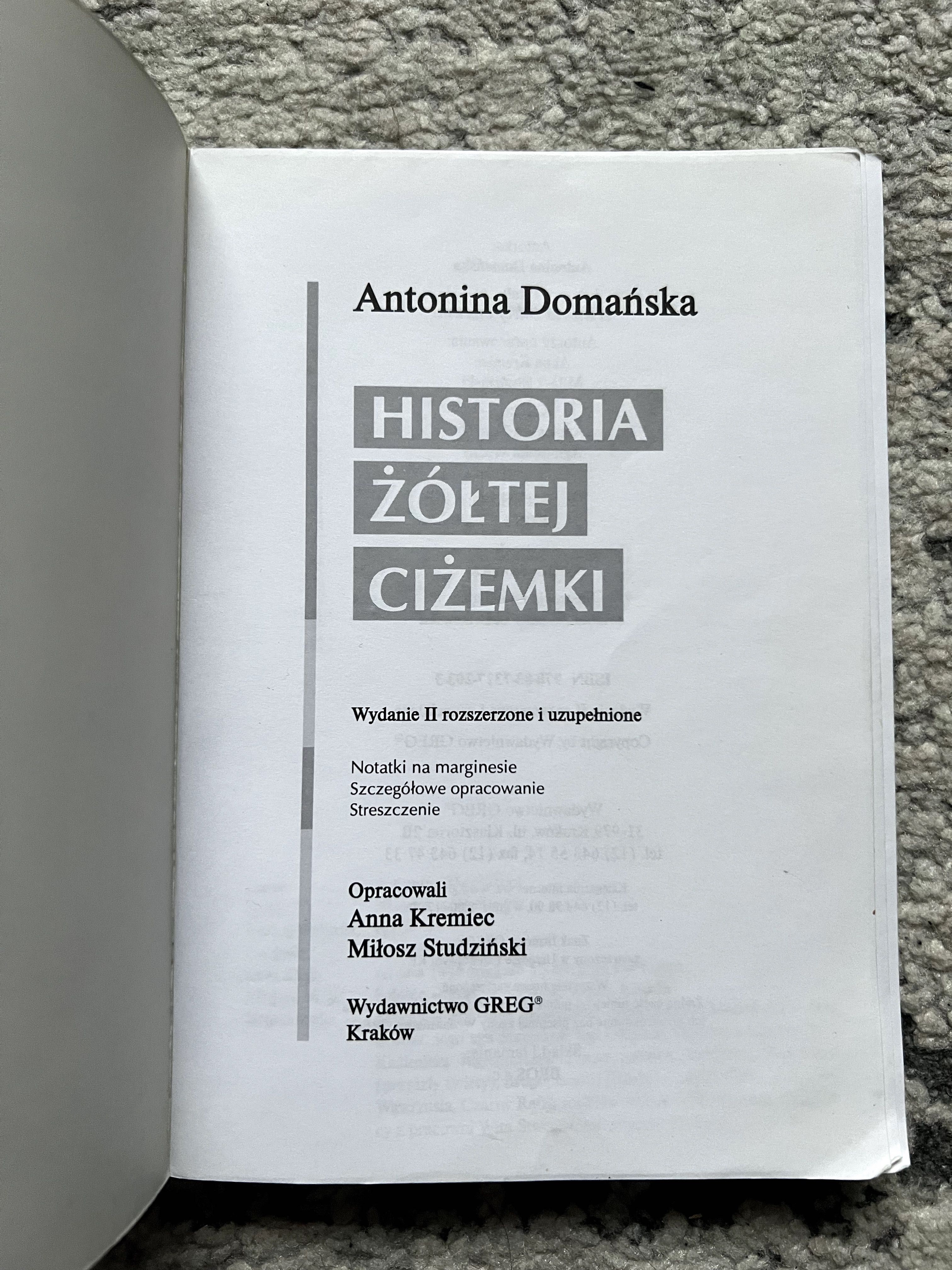 Antonia Domańska ,,Historia żółtej ciżemki" z opracowaniem, Greg