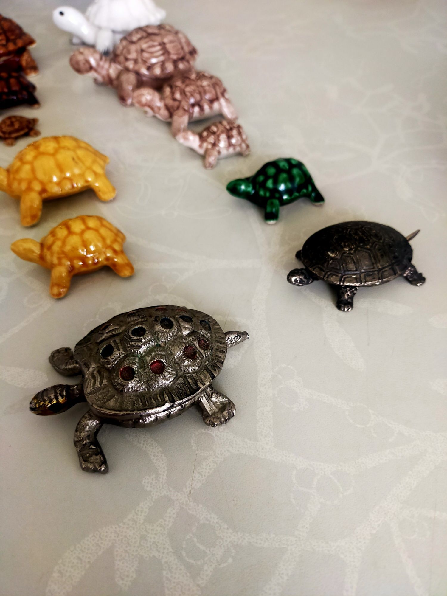 Conjunto de tartarugas