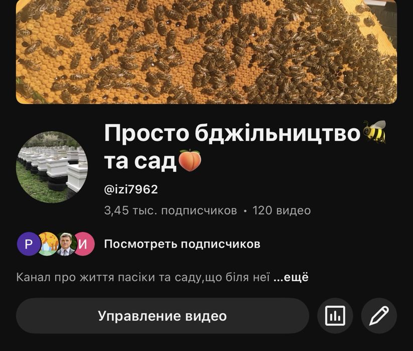 Бджолопакети бакфаст,італійка,Київ, Київска обл