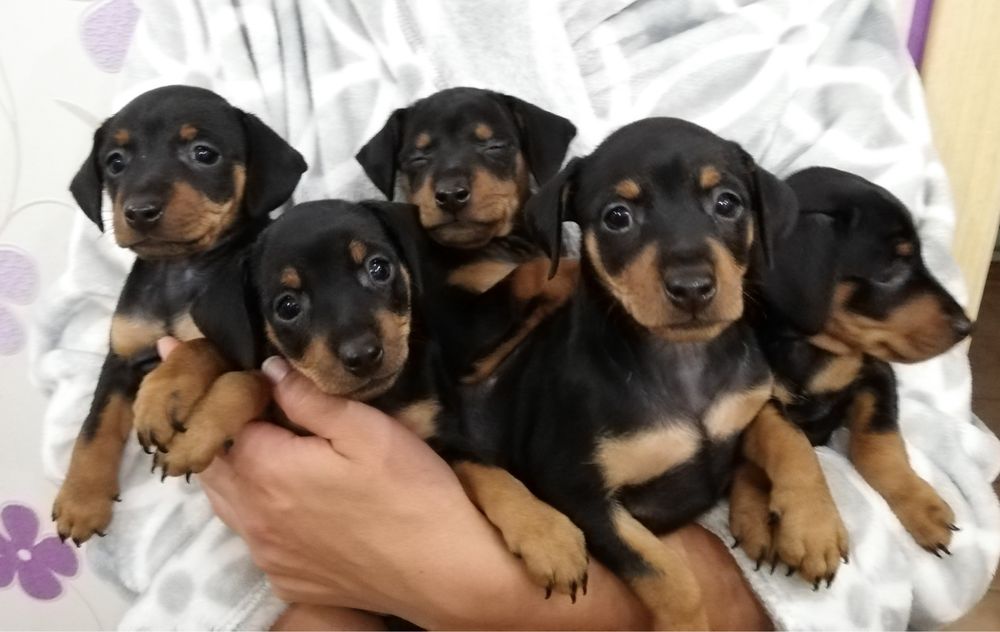 Малюк для тебе