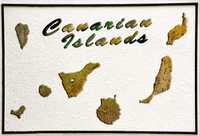 Magnes na lodówkę - Wyspy Kanaryjskie