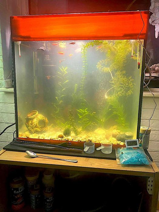 Продам Акваріум 45 літрів з рибками ітд.