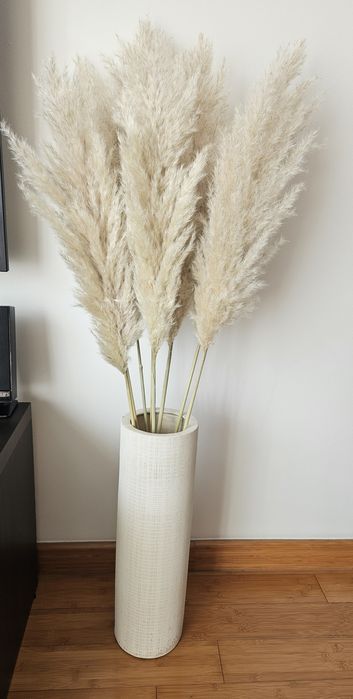 Trawa pampasowa suszona naturalna