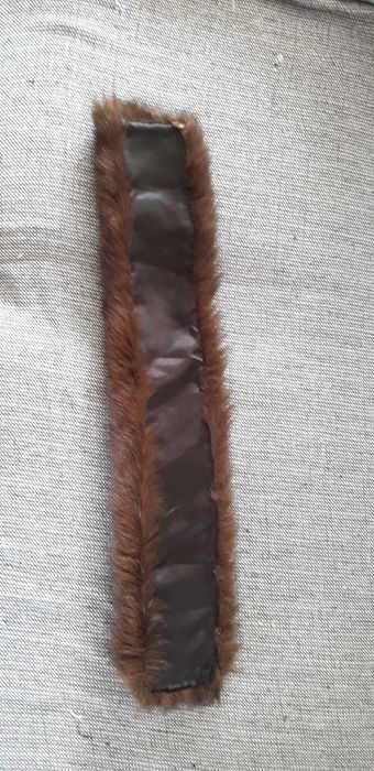 Gola de pelo castanho, fofinha