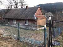 Будинок в Карпатах, дачний будинок