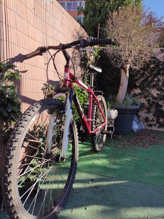 Bicicleta aro 26 BERG