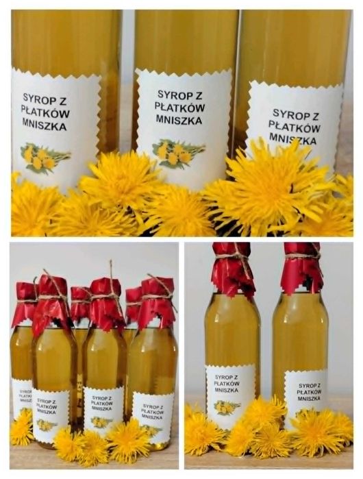 zestaw syrop z mniszka x3