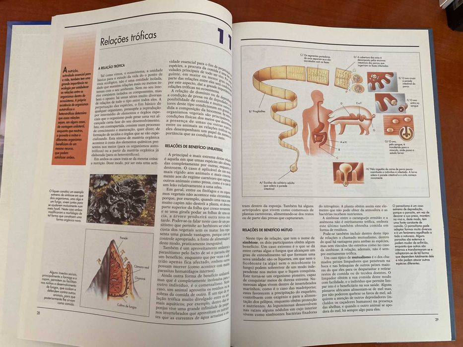 Livro Atlas - Ecologia