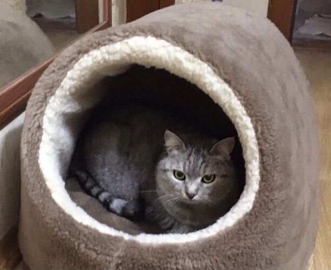 Хутряний будиночок домик лежак хатинка лежанка для котика собачки