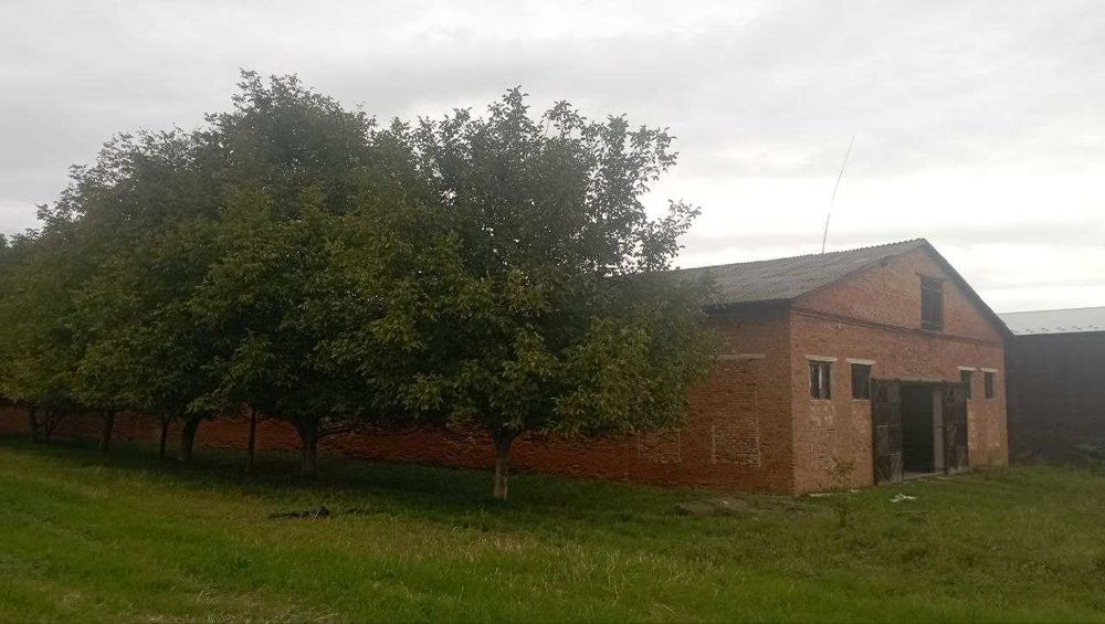 Продається будівля для зберігання та переробки сільськогосп. продукції