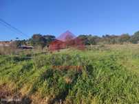 Terreno para construção com 8.000m2, Delgada