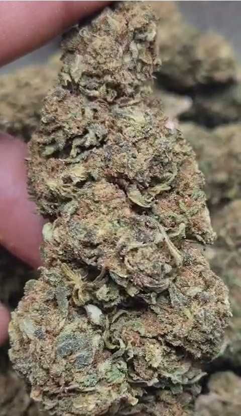 Susz Konopny CBD Banana Kush Hurt PREMIUM Mocny Aromat TOP Jakość 1KG