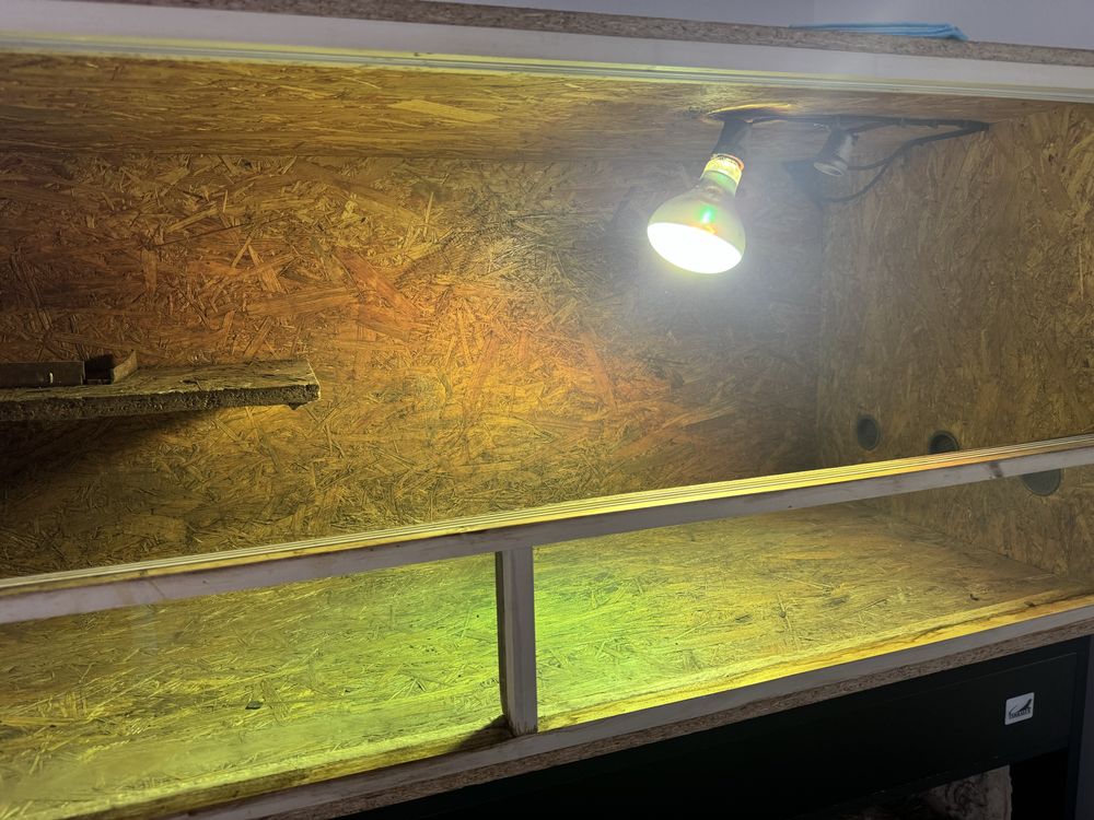 Terrarium 150x60x60
