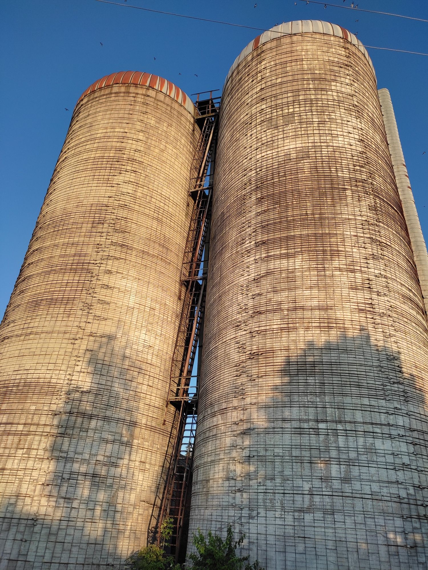 Сінажні башні,на 4000 тонн зерна під розборку.