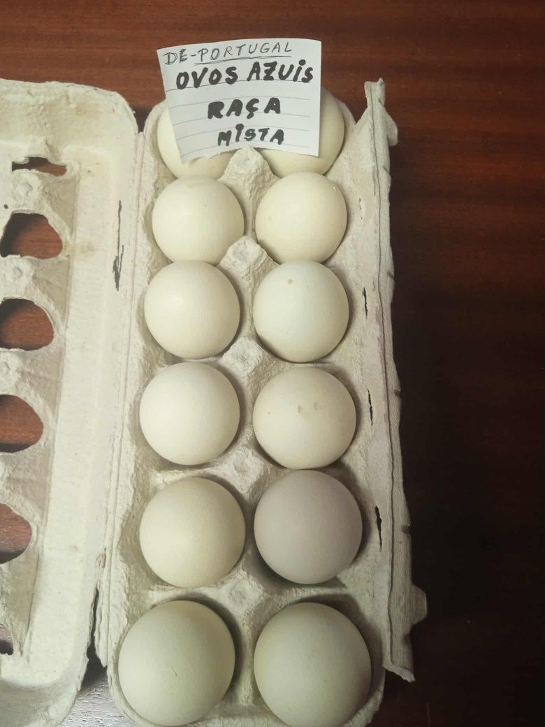 Ovos de galinha.