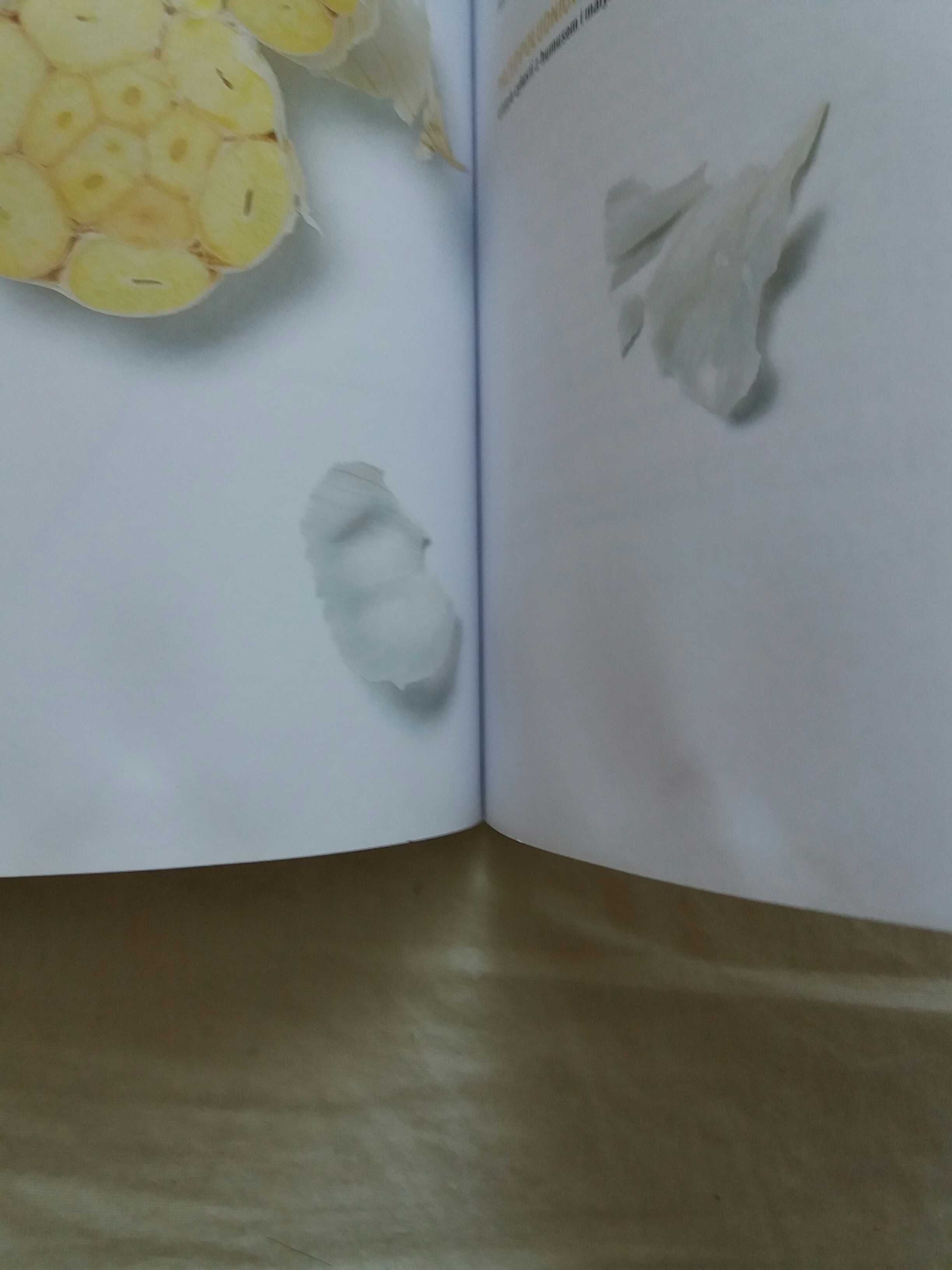 Program Doskonałego Zdrowia Gillian McKeith dieta