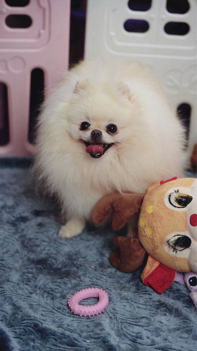 Piękna dziewczynka ra