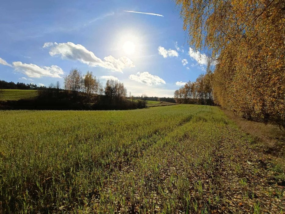 Działka w pobliżu Skorzęcina!