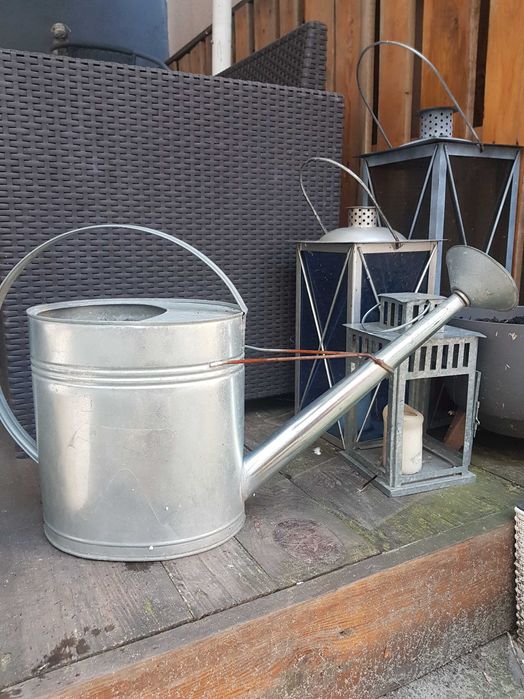 Konewka ozdobna- ogrod