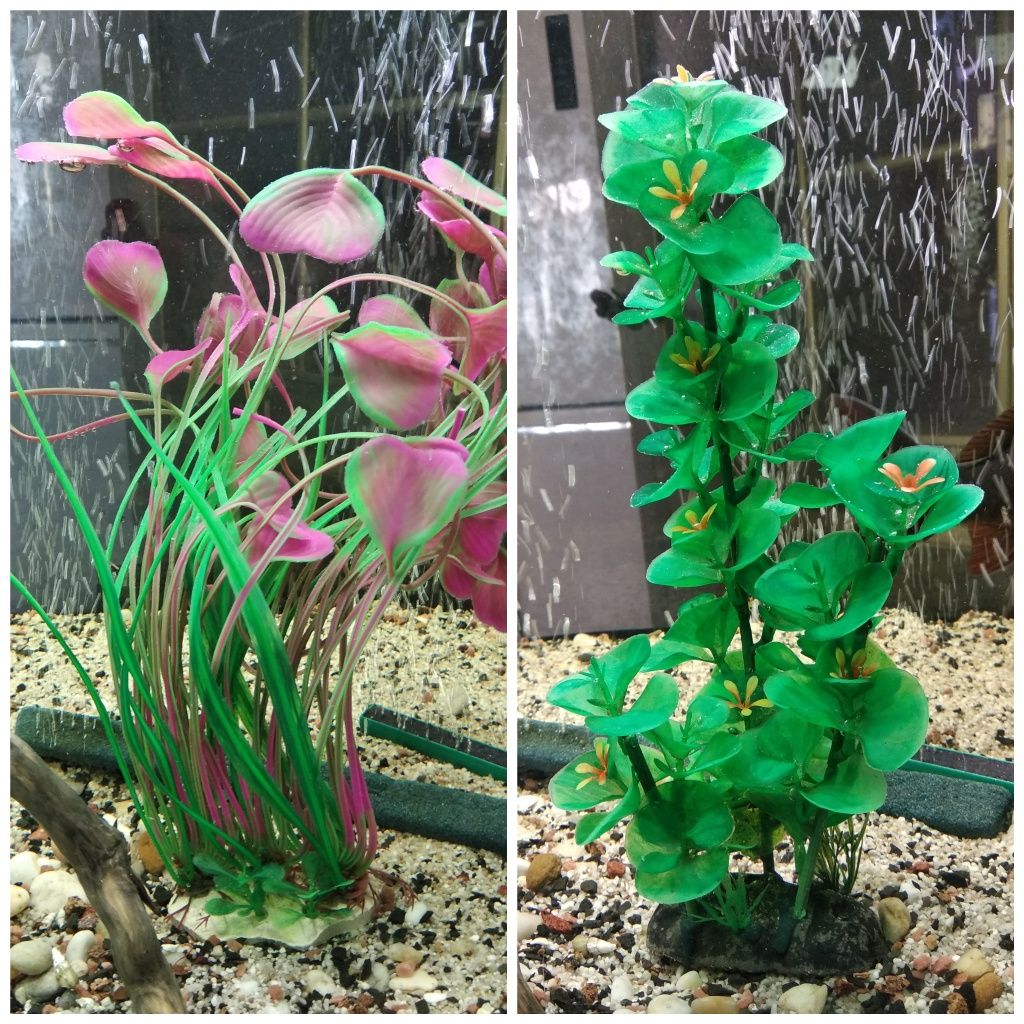 Пластикові рослини для акваріума від 15 до 80 см