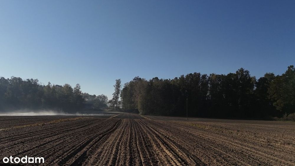 Sprzedaż działki  – cicha okolica 16 km od Kalisza
