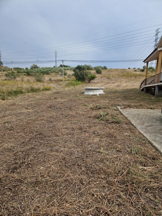 Limpeza de casas e terrenos