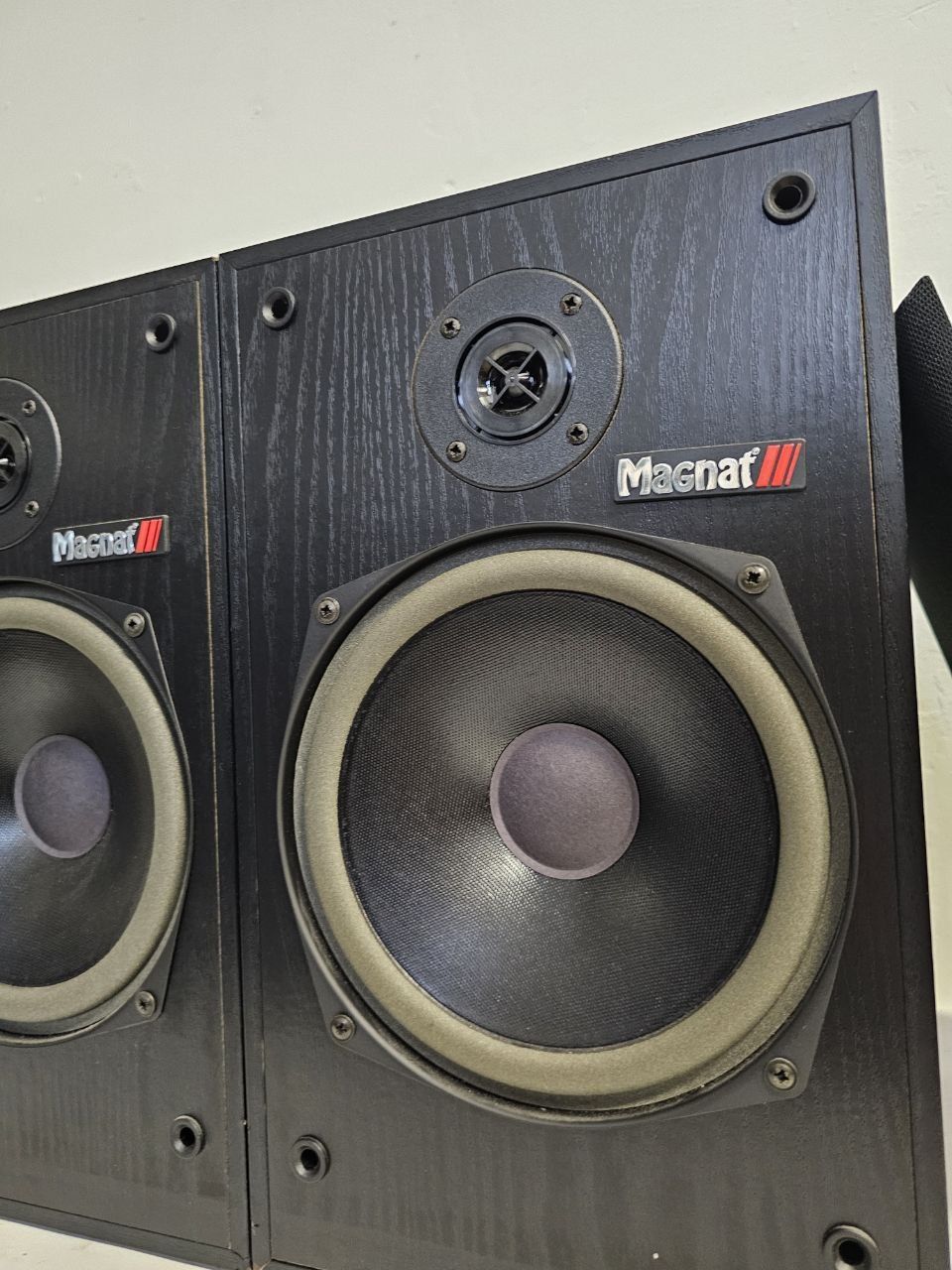 Kolumny stereo Magnat Koncepcja 1, 150 Watt
