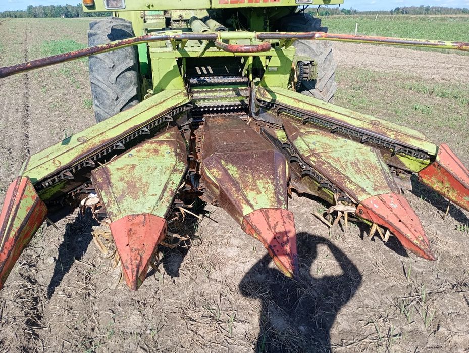 Sieczkarni do kukurydzy Claas jaguar 80sf