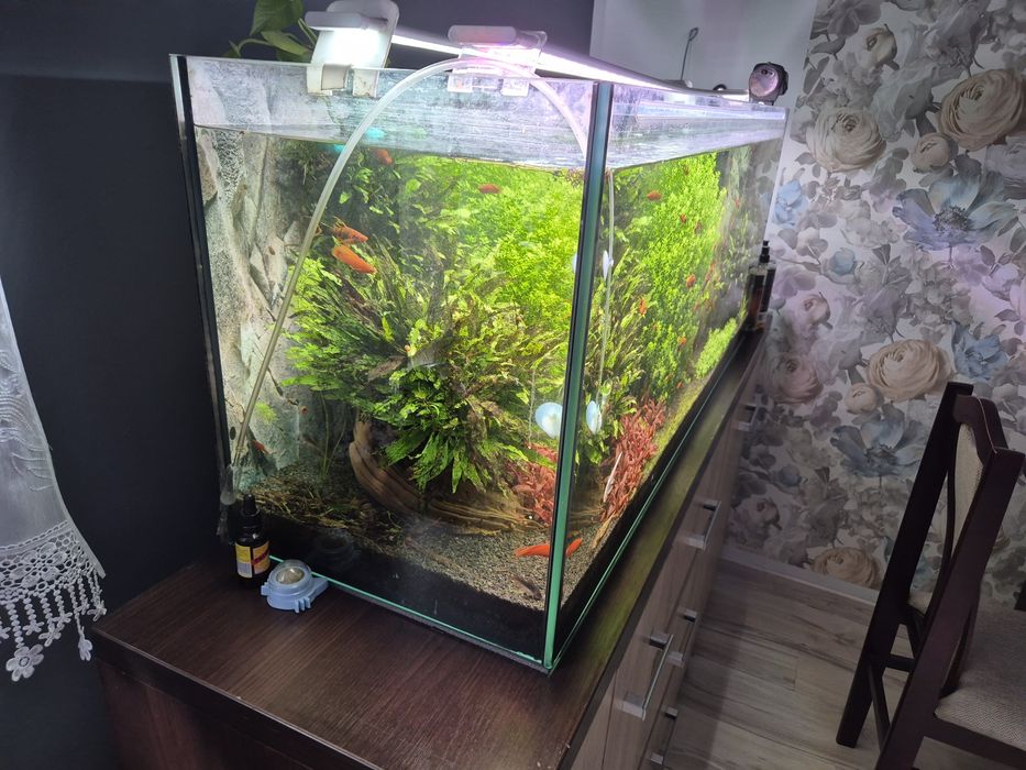 Akwarium 240l.    .