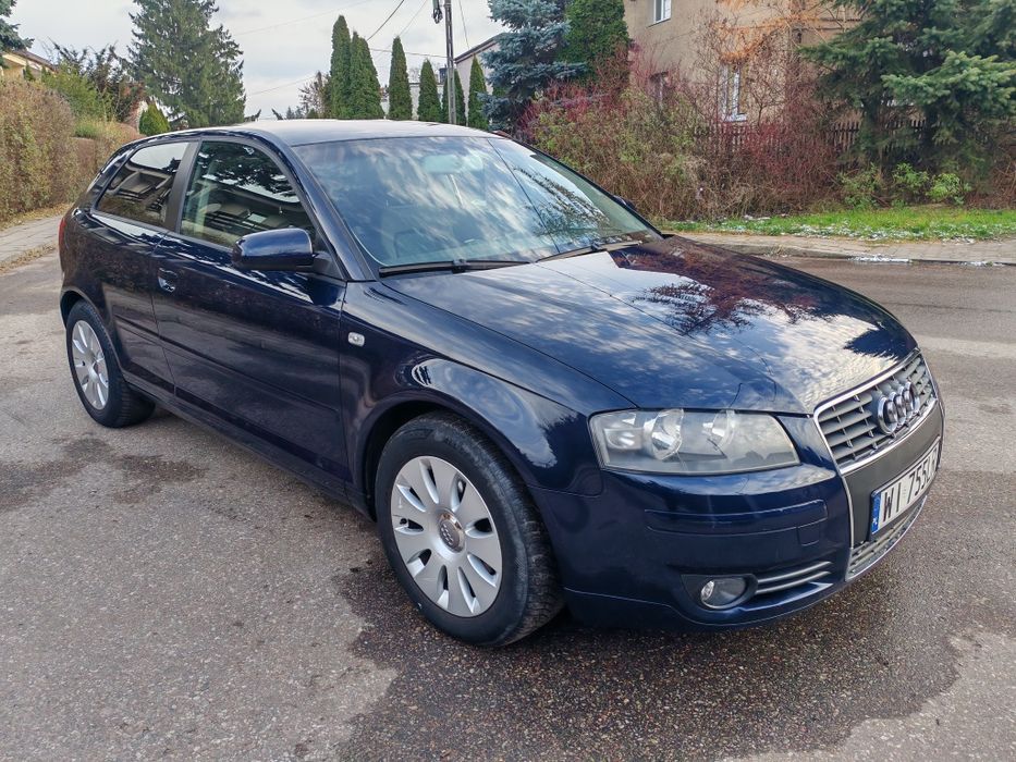 Audi A3 8P 1.6 MPI (102 KM), Benzyna, 2004 r.